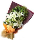 ʤʻٵ